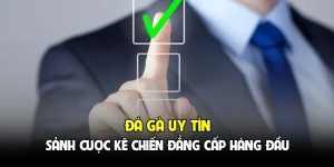 Đá Gà Uy Tín - Sảnh Cược Kê Chiến Đẳng Cấp Hàng Đầu
