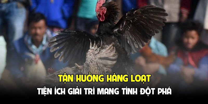 Tận hưởng hàng loạt tiện ích giải trí mang tính đột phá