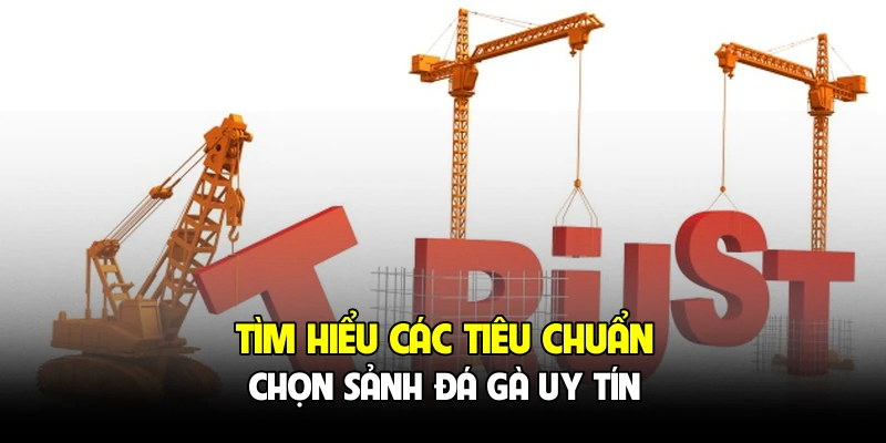 Tìm hiểu các tiêu chuẩn chọn sảnh đá gà uy tín